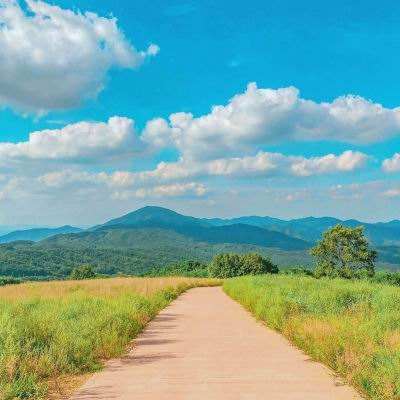 太阳集团娱乐官方网站下载